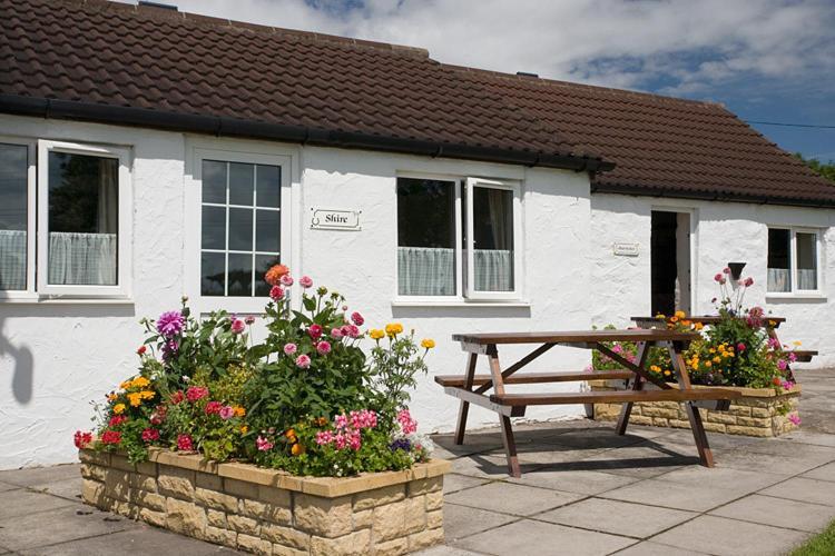 Doubleton Farm Cottages Weston-super-Mare Room photo