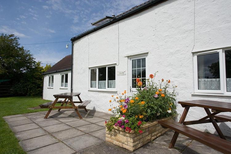 Doubleton Farm Cottages Weston-super-Mare Room photo